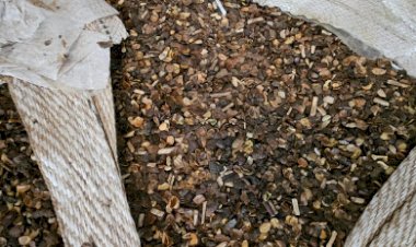 Fiscalização apreende mais de 21 toneladas de café irregular em compras públicas no Paraná