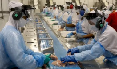 Agroindústria cresce 0,8% em outubro e zera perdas no acumulado de 2025