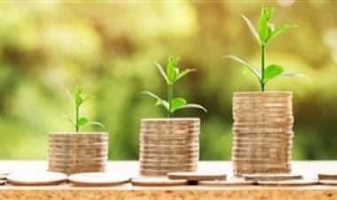 Produtor rural deve se preparar em 2025 para evitar riscos na transição tributária de 2026