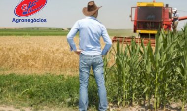 Embarques agrícolas fecham 2025 em patamar elevado, aponta ANEC