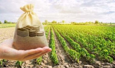 Cotações Agropecuárias