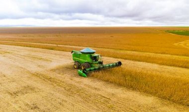 Cotações Agropecuárias