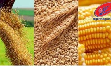 Cotações Agropecuárias