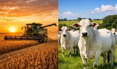 Cotações Agropecuárias