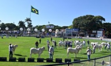 Uberaba volta a inaugurar o calendário pecuário: estão abertas as inscrições para a Expoinel Minas 2026