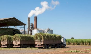 Etanol ganha espaço como investimento com demanda global aquecida