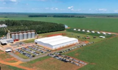 Com dívida de R$ 1,3 bilhão, Grupo Formoso pede recuperação judicial