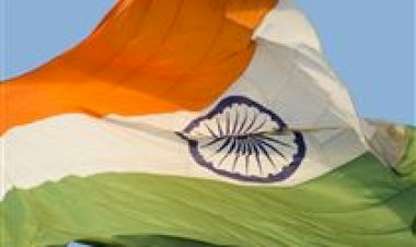 Índia registra duas raças sintéticas de gado de para impulsionar a produção de leite