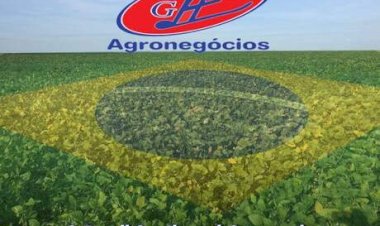 Cotações Agropecuárias