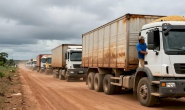Soja: Frete dispara em Mato Grosso com congestionamento em Miritituba