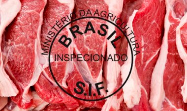 SIF fortalece segurança alimentar e amplia a presença da agropecuária no exterior