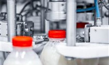 Setor leiteiro aguarda definição sobre importações e equilíbrio de mercado