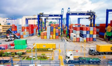 Boletim portuário: Como os prêmios estão ditando o preço da soja