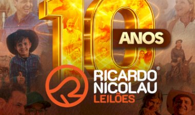 LEILÃO VIRTUAL 10 ANOS RICARDO NICOLAU LEILÕES