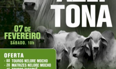 LEILÃO FAZENDA AZEITONA