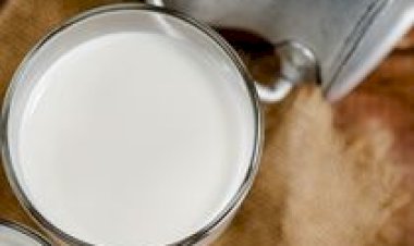 Cotrisal e CCGL distribuem R$ 5,3 milhões em sobras a produtores de leite