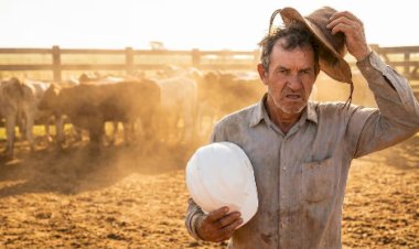 Nova polêmica da NR 31 ameaça o uso do chapéu e revolta o campo