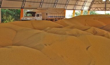 Confira como a soja encerrou a semana