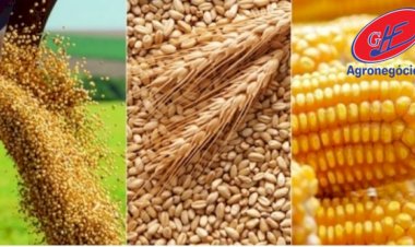 Cotações Agropecuárias