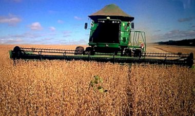 Goiás anuncia fim da taxa do agro