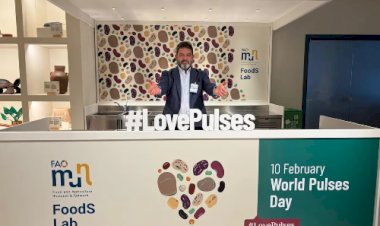 Nova Dehli e Roma colocam o Feijão do Brasil em outro nível no comércio global