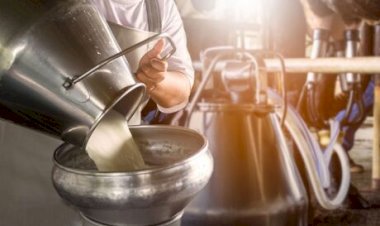 Segmento leite bate recorde e cresce 20,9% na oferta de sêmen bovino