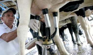 Indústrias temem risco do acordo Mercosul-UE