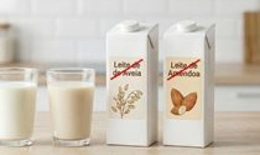 Câmara aprova projeto que restringe uso do termo 