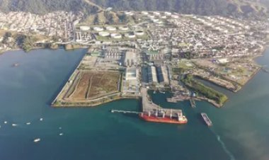 Navio pega fogo durante embarque de gado no porto de São Sebastião