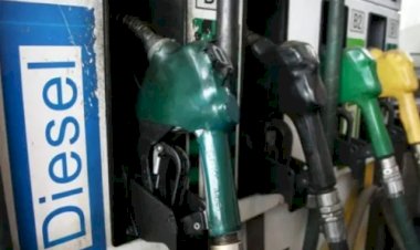 Falta de diesel paralisa colheita no Rio Grande do Sul e mobiliza entidades do agro