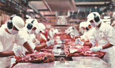 Preço médio da carne bovina brasileira atinge em março/26 maior valor desde out/22