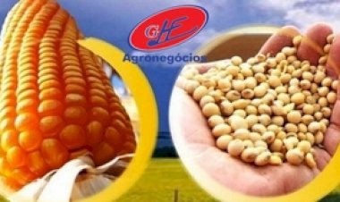 Safra de grãos no RS deve cair 7,1?hegar a 32,8 milhões de toneladas