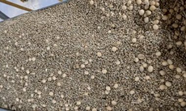 Fraude em carga de soja é descoberta no Porto de Paranaguá