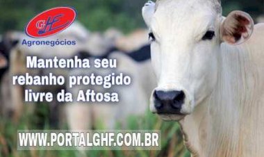 Prazo para vacina contra raiva termina em 24 de março