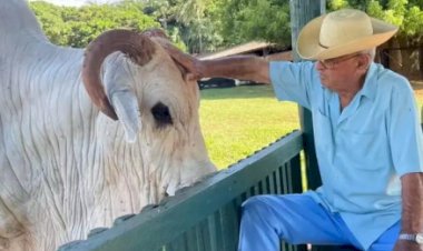 Luto: pecuária brasileira perde o criador Chico Carvalho