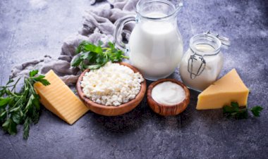 Preços do leite voltam a subir e setor inicia recuperação