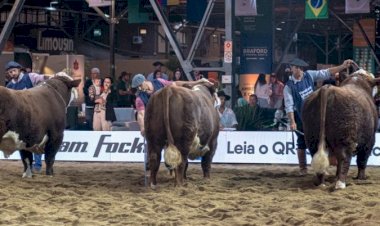 ABHB divulga programação da 20ª Exposição Nacional Hereford e Braford