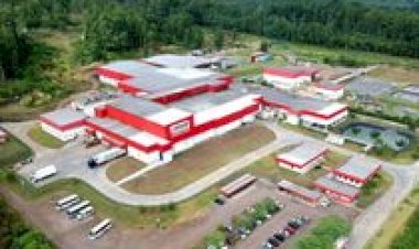 Após crise, gigante do agro liquida 52?s dívidas e recontrata centenas de demitidos no Brasil