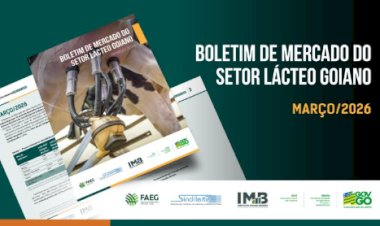 Preços dos derivados lácteos registram valorização no mercado atacadista goiano em março