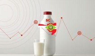 Conseleite/SC projeta valor de referência do leite a ser pago em abril/26