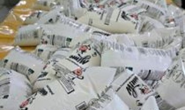 Governo de Goiás prorroga prazo para envio de propostas do PAA Leite 2026