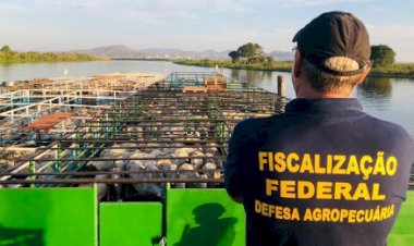 Nova lei amplia adicional de fronteira e moderniza defesa agropecuária em áreas estratégicas