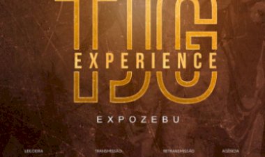 LEILÃO TJG EXPERIENCE
