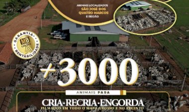 11º LEILÃO FAMÍLIA LUCIANO DUARTE E CONVIDADOS