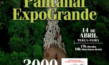 LEILÃO VIRTUAL CENTRAL PANTANAL EXPOGRANDE