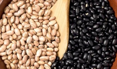 Preços do feijão recuam no fim de março, mas acumulam alta no mês