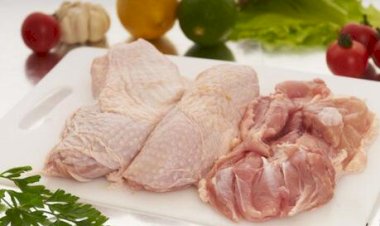Mesmo com crise no Oriente Médio, exportações de carne de frango crescem 6% em março