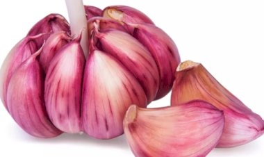 Crise no alho pressiona produtores sul-americanos