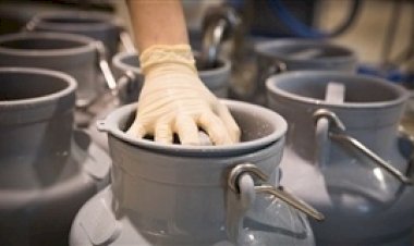 Leite: recuperação não compensa perdas de mais de 20% no ano