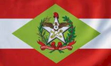 SC: setor leiteiro pode se recuperar em 2026, aponta Boletim Agropecuário da Epagri/Cepa